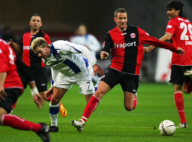 橄榄枝的是 橄榄枝的是